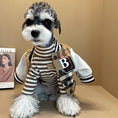 Cargar la imagen en la vista de la galería, Dog wearing striped turtleneck and plaid letter patch jacket opening to reveal interior lining and snap buttons