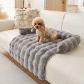 Load image into Gallery viewer, Small poodle sitting on gray plush dog mat with raised edges on white sofa