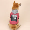 Load image into Gallery viewer, Letter Print Hooded Sweatshirt