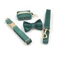 Load image into Gallery viewer, Close-up of green velvet collar, leash, bowtie and waste bag holder with gold buckles