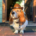 Cargar la imagen en la vista de la galería, New Cat Dog Cowboy Hat
