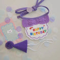 Charger l'image dans la visionneuse de la galerie, Party Birthday Hat Bib Dog Cat Pet Saliva Pocket Saliva Towel Bichon Frise