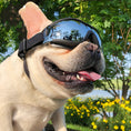 Load image into Gallery viewer, Pet Sunglasses Dog Windproof Glasses Accessories Goggles