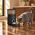 Load image into Gallery viewer, Blue British Shorthair eating beside a black automatic feeder in a warm marble and walnut kitchen.