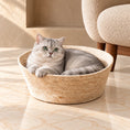Charger l'image dans la visionneuse de la galerie, Silver British Shorthair curled inside a natural woven cat bed in a softly lit marble and cream interior.