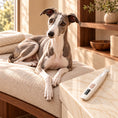 Load image into Gallery viewer, White LED pet trimmer on a light ivory-beige marble table beside a resting whippet in a cream and walnut room.