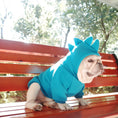 Charger l'image dans la visionneuse de la galerie, Pet Apparel Fleece Solid Color Hoodie