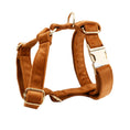 Load image into Gallery viewer, Velvet Dog Collar & Leash Set
