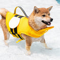 Load image into Gallery viewer, Wet Shiba Inu dog standing in pool wearing bright yellow life jacket with black stripes and white wings