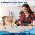 Cargar la imagen en la vista de la galería, Woman feeding a small brown French Bulldog from a blue paw print dog bowl in kitchen