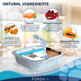 Charger l'image dans la visionneuse de la galerie, Close-up of natural ingredients including salmon, turmeric, pomegranate, and papaya promoting immune system support alongside Forza10 cat food tray