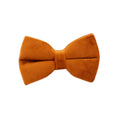 Load image into Gallery viewer, Rust orange velvet bow tie for dog collar