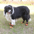 Charger l'image dans la visionneuse de la galerie, Outdoor Sports Climbing Non-slip Dog Shoes
