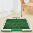 Cargar la imagen en la vista de la galería, Empty indoor dog potty training toilet placed on floor beside a wicker chair