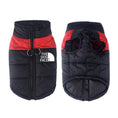 Charger l'image dans la visionneuse de la galerie, Front and back view of black and red waterproof dog vest with padded insulation and leash attachment rings