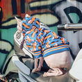 Load image into Gallery viewer, Hairless cat sitting on scooter wearing vibrant blue and orange graphic hoodie