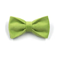 Load image into Gallery viewer, Removable matcha green velvet bow tie accessory for dog collar