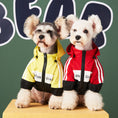 Load image into Gallery viewer, Two small dogs wearing sporty colorblock jackets - one yellow and black, the other red and black, both with white stripes and front zipper