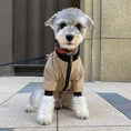 Charger l'image dans la visionneuse de la galerie, Frontal view of small dog in khaki jacket with zipper, sitting patiently