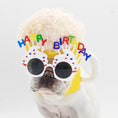 Charger l'image dans la visionneuse de la galerie, Dog wearing yellow beer mug hat with plush foam top and colorful happy birthday sunglasses