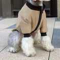 Charger l'image dans la visionneuse de la galerie, Close-up side view of small dog wearing khaki jacket with black cuffs and zipper
