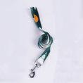 Load image into Gallery viewer, Geometric Print Dog Harness, Collar & Leash Set