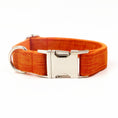 Load image into Gallery viewer, Close-up of orange dog collar's silver metal buckle and D-ring