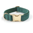Load image into Gallery viewer, Green velvet dog collar with gold buckle and D-ring