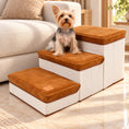 Load image into Gallery viewer, Yorkshire terrier on brown foldable pet stairs in a cream living room