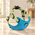 Cargar la imagen en la vista de la galería, Blue green adjustable dog harness with chest panel and webbing straps on beige marble