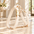 Charger l'image dans la visionneuse de la galerie, Cream leaf-lace strap dog harness with gold buckle and adjustment hardware on ivory marble