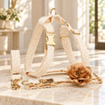 Charger l'image dans la visionneuse de la galerie, Cream lace dog harness, collar and leash with gold hardware and a tan fabric flower on ivory marble