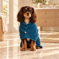 Load image into Gallery viewer, Black and tan Cavalier spaniel wearing a teal blue drying robe in a cream bathroom