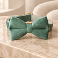 Charger l'image dans la visionneuse de la galerie, Mint velvet bow collar with gold-tone fittings on beige marble