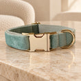Charger l'image dans la visionneuse de la galerie, Mint velvet dog collar with gold-tone buckle on beige marble