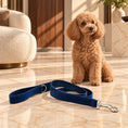 Cargar la imagen en la vista de la galería, Apricot miniature poodle beside a navy velvet dog leash on light ivory-beige marble in a sunlit living room.