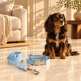 Charger l'image dans la visionneuse de la galerie, Black-and-tan Cavalier King Charles spaniel beside a blue paisley collar and leash on honey marble.