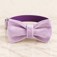 Cargar la imagen en la vista de la galería, Lilac velvet dog collar with bow tie