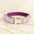 Cargar la imagen en la vista de la galería, Lilac velvet dog collar with silver-tone buckle