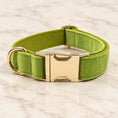 Charger l'image dans la visionneuse de la galerie, Close-up of matcha velvet dog collar, bow & lead set showing the metal hardware