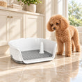 Load image into Gallery viewer, Apricot miniature poodle beside white and grey dog toilet tray with splashguard and post