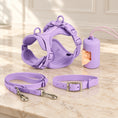Charger l'image dans la visionneuse de la galerie, Purple dog harness, collar, lead and bag holder arranged on beige marble