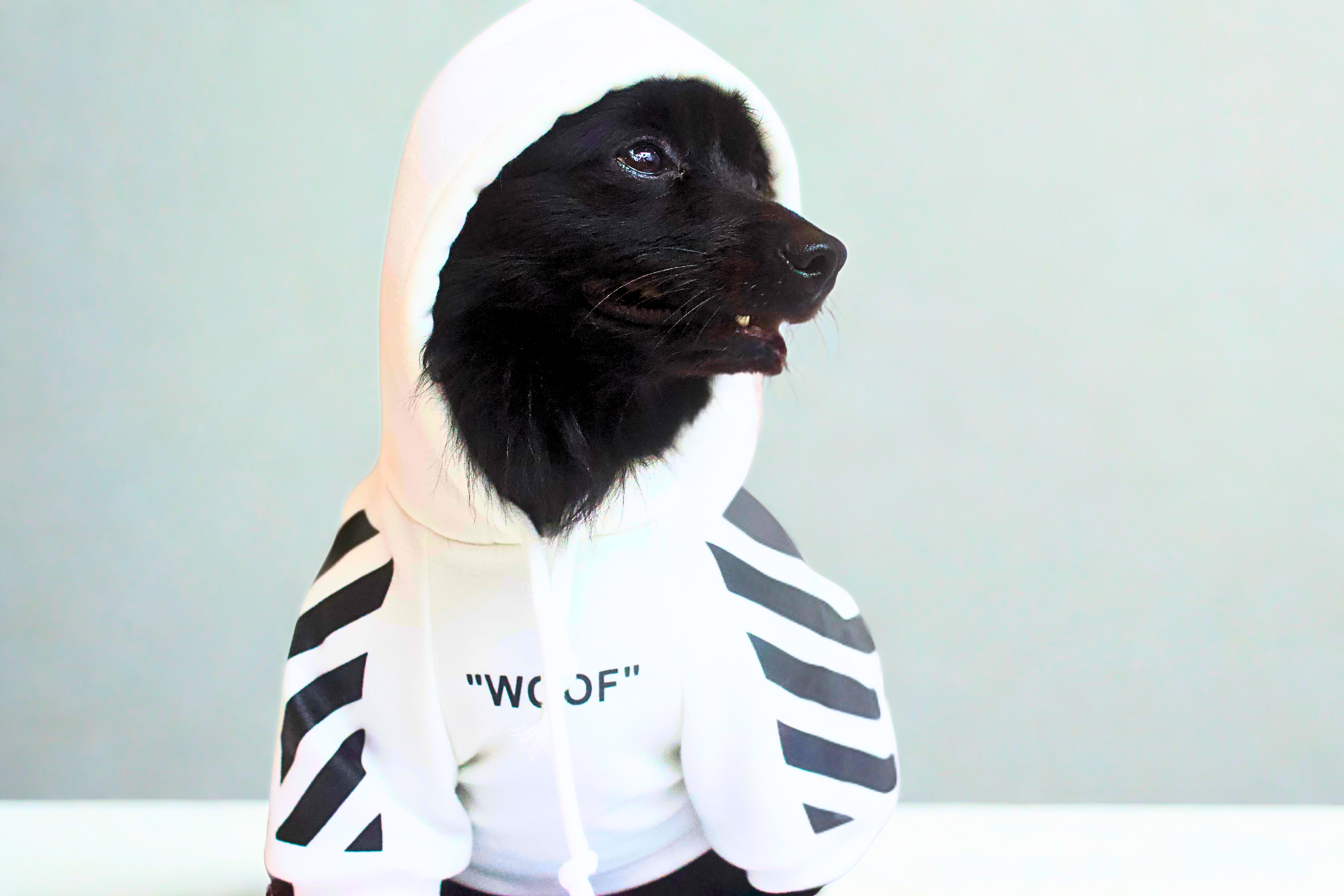Dog Clothing