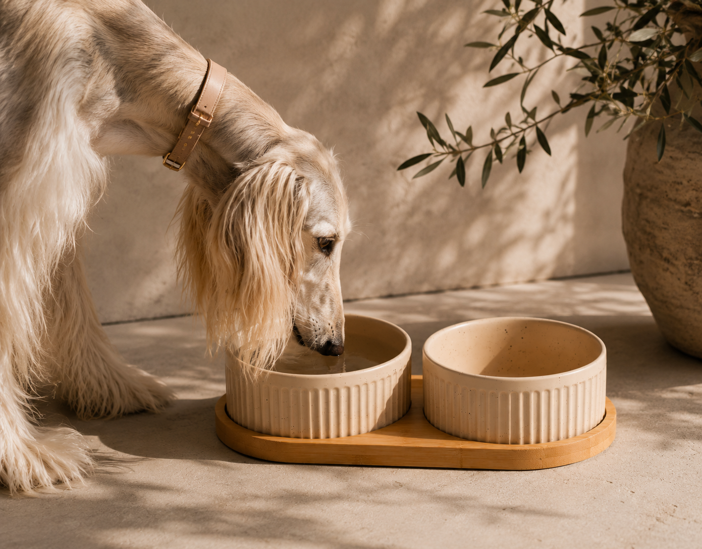 Bowls & Feeding