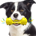 Load image into Gallery viewer, Black and white dog holding yellow spiked chew toy with sound effects
