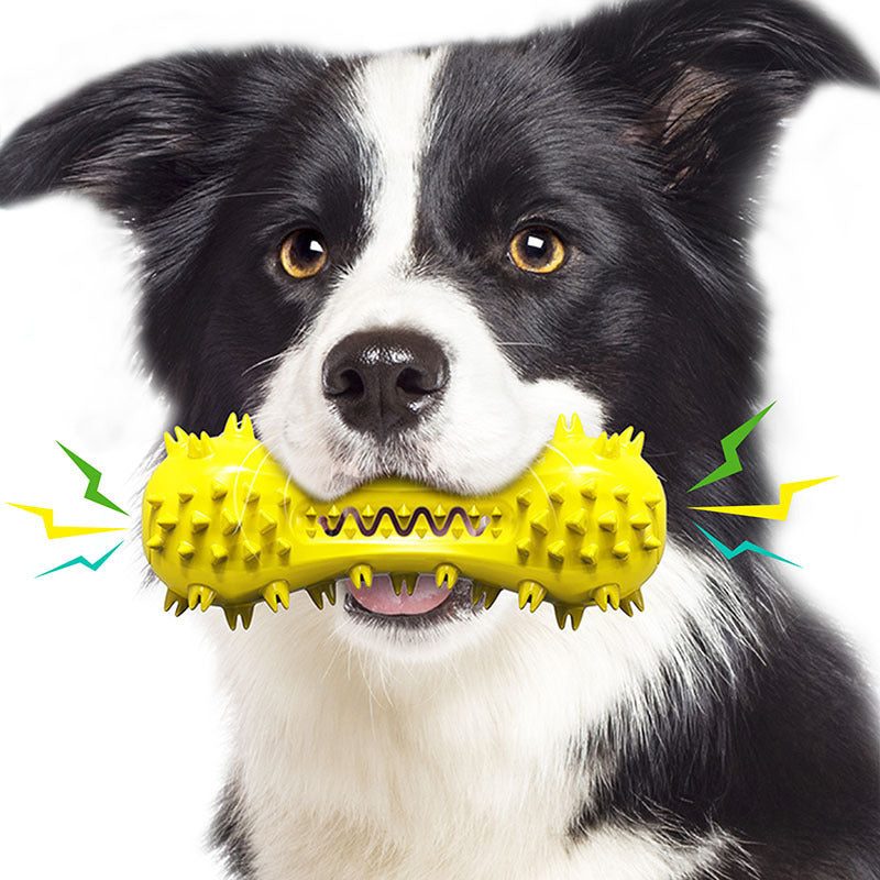 Black and white dog holding yellow spiked chew toy with sound effects