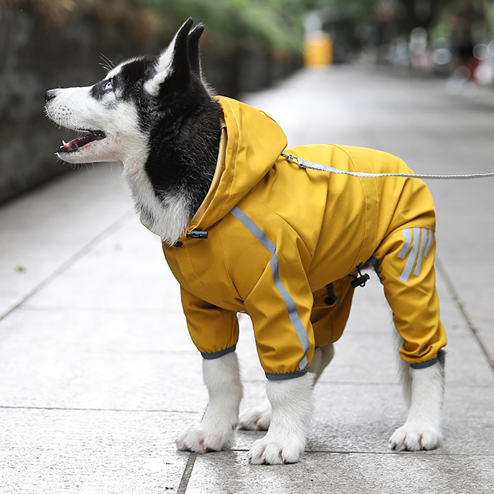 Side view of husky puppy walking outside wearing yellow raincoat with reflective details