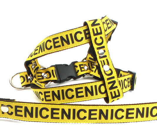 Yellow nylon dog harness and leash with NICENICENICE pattern and black plastic buckles