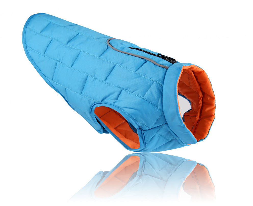 Back view of a dog sitting on grass wearing a blue quilted jacket with visible zipper and leash opening