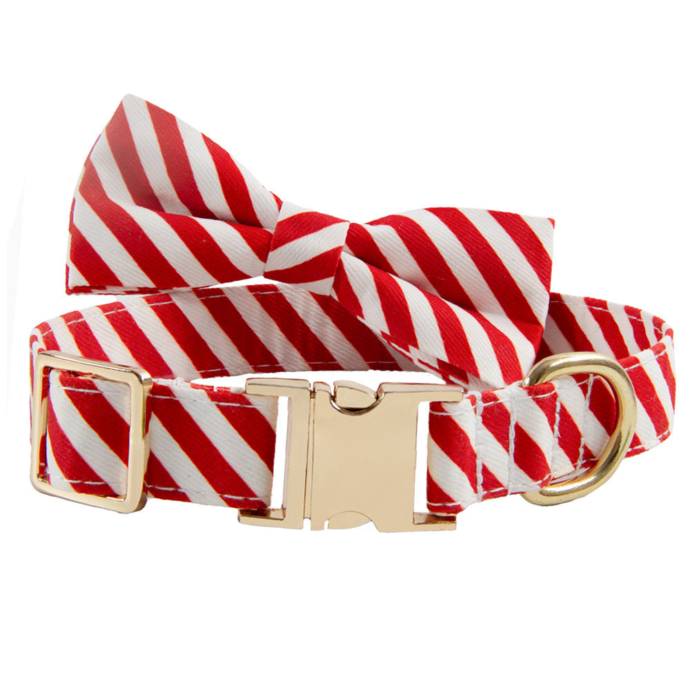 Collier pour chien avec inscription Collier anti-perte
